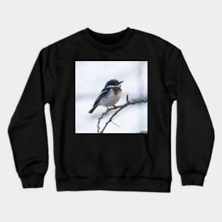 Chin-Spot Batis Crewneck Sweatshirt